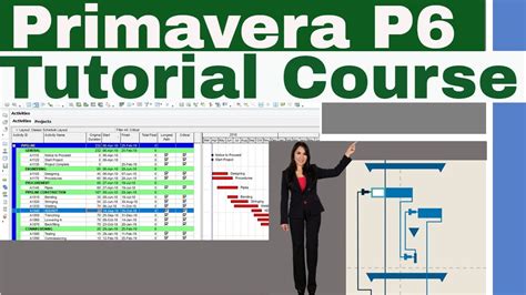 primavera starter easy|Primavera P6 Tutorial for Beginners: A Comprehensive Guide to .